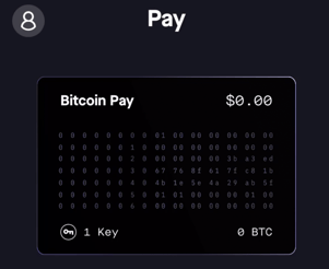 BTC Pay